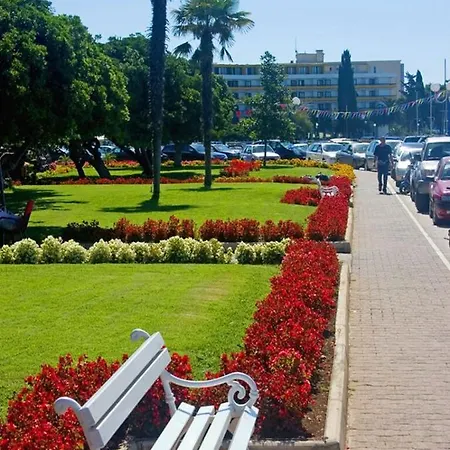 Blue Window Apartament